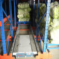 Heavy Duty Customized Radio Shuttle Pallet Rack for Warehouse Storage